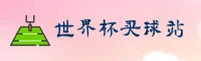 世界杯买球官网