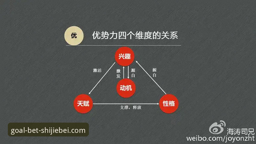 世界杯投注官网选择的5个核心维度：从用户体验到安全验证的完整指南