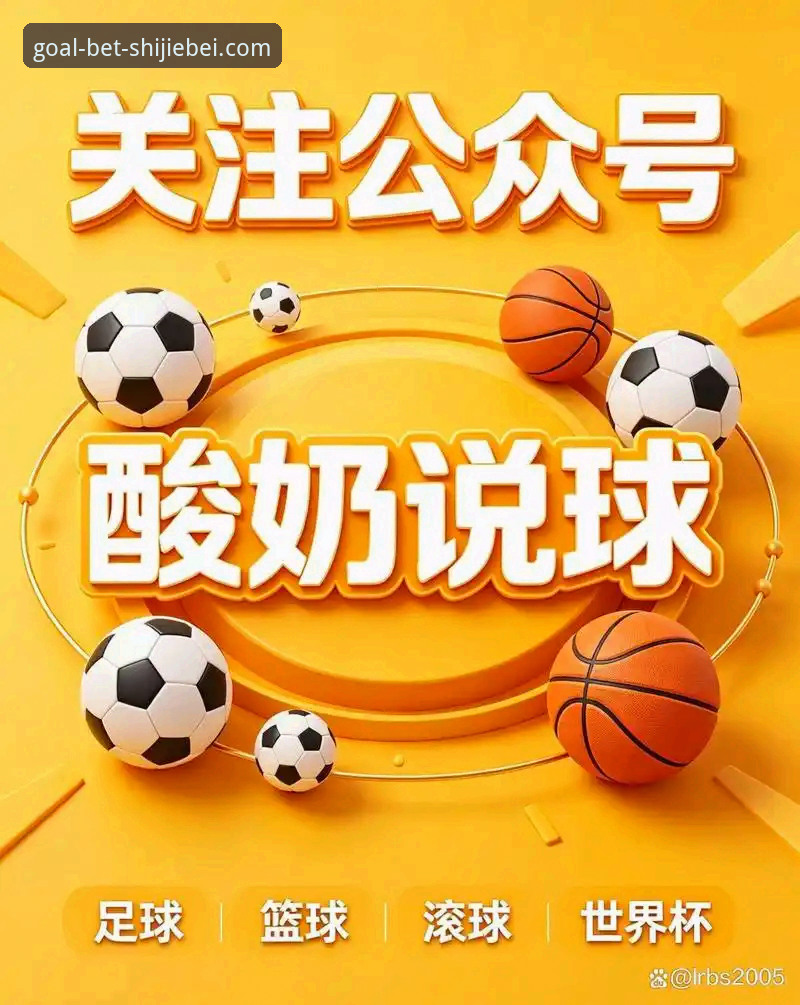 世界杯买球怎么玩 世界杯买球实用指南:从新手到老手必备的投注知识与技巧